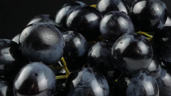 Dark blue grape on black background alt