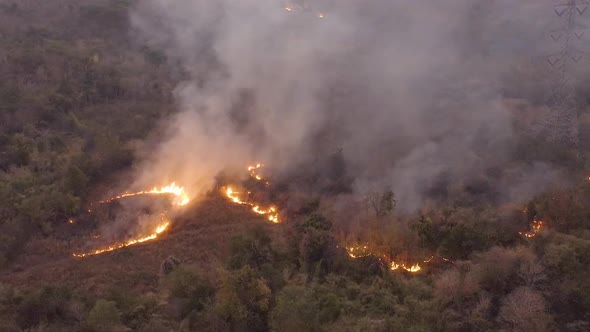 Aerial view of Wildfire filled with flames and toxic fumes from burning on mountains.