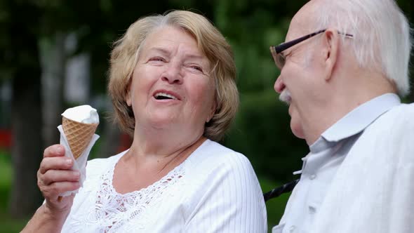 Grandpa and Grandma are Sitting on a Bench in a Park in New York USA alt