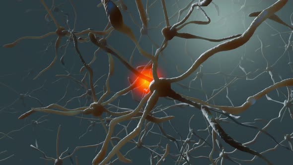 Electric impulse running through a neural network of brain cells	