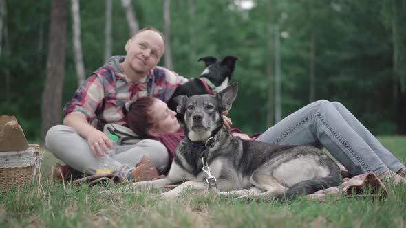Portrait of Serious Dog on Summer Lawn with Blurred Couple Sitting and Lying at the Background alt