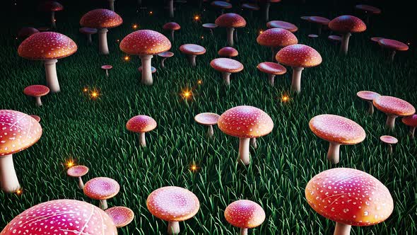 Magic Amanita Mushrooms #1 4k