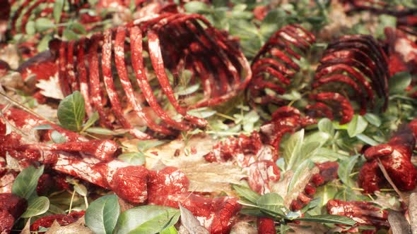 Bones And Skulls alt