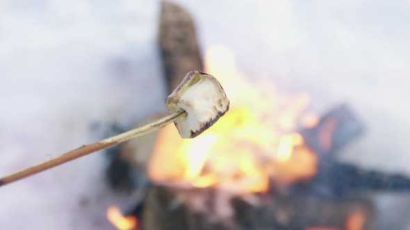 Fried Marshmallows on a Bonfire in Winter Close Up alt