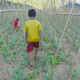 Poor Kids In Vegetables Garden - VideoHive Item for Sale