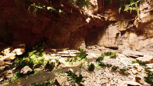 the View Inside Fairy Cave Covered in Self Illuminating Green Plants alt