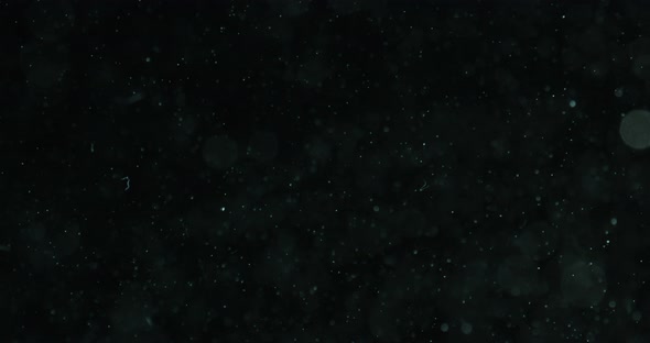 White Particles And Bubbles In Water Against Black Background alt