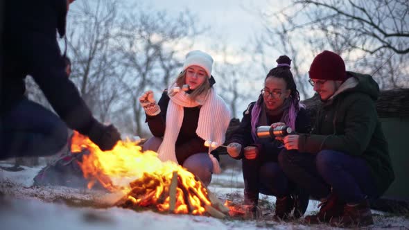 Young Multiethnic Friends Guys and Women Sitting Around Bonfire in Forest While Frying Marshmallows alt
