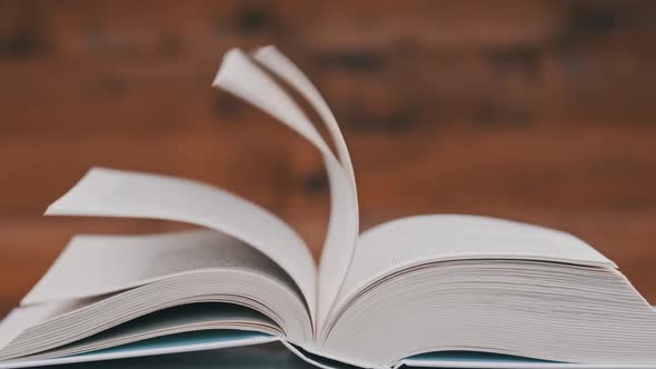 The Pages of the White Book Flip Over Randomly Under the Influence of the Winds alt