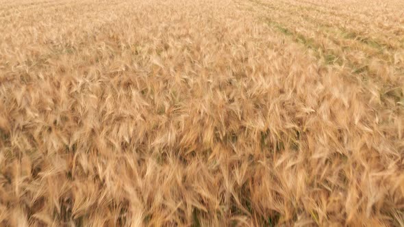 Young Mother Holding Little Baby Girl Outdoors alt