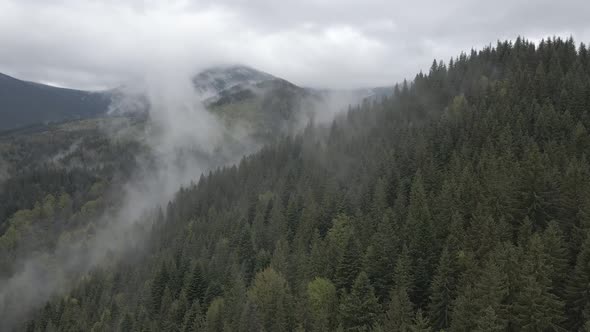 Landscape of the Carpathian Mountains. Slow Motion. Ukraine. Aerial. Gray, Flat alt