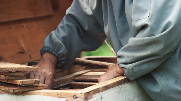 Beekeeper Working with Bees and Beehives on the Apiary alt
