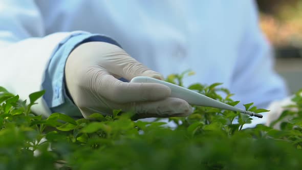 Female Biologist Checking Soil Moisture Meter Writing Notes Clipboard, Research