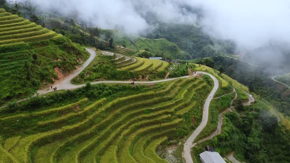 Aerial View Of A Crooked Road Among Mountains Rice Fields Around A Green Forest with Trees and Palm