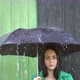 Heavy Rain pours on Girl Sheltered under Umbrella - VideoHive Item for Sale