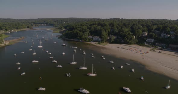 Flying Away From Boats Docked on Huntington Bay Near Shore alt