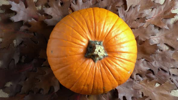 Pumpkin on Autumn Leaves alt