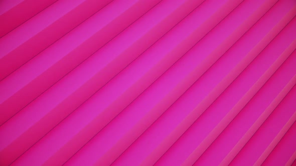 Moving Rotating Pink Lines Abstract Background