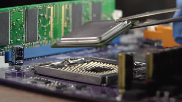 Process Installing Processor Computer Motherboard alt