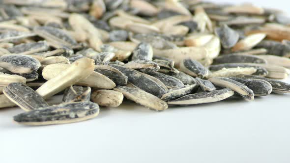 Sunflower Seeds