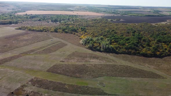 Airplane Spraying Fields From a Bird'seye View
