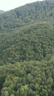 Carpathian Mountains alt