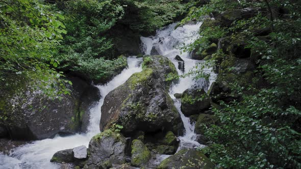 Water stream flowing through rainforest alt