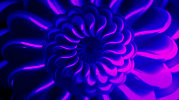 3d animation of moving flower bud alt