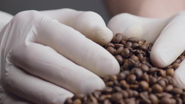 Closeup Hands Taking Coffee Grains alt