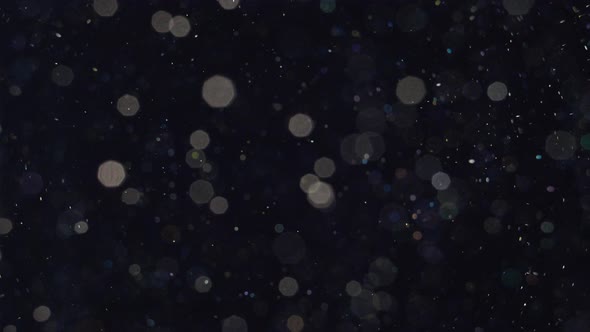 Elegant, Detailed, and Delightful Bokeh and Particles Visuals with Shallow Depth of Field Underwater