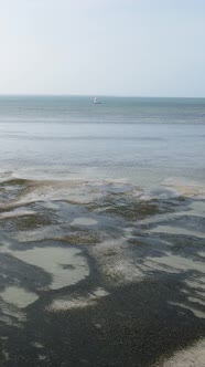 Tanzania  Vertical Video of Low Tide in the Ocean Near the Coast of Zanzibar Slow Motion alt