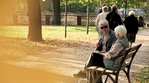 Elderly Caucasian Couple in the Park Disabled Husband in Glasses and a Stick Park Selective Focus alt