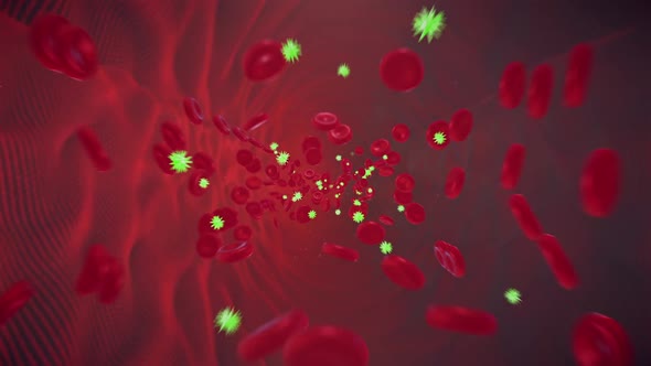 Blood And Bacteria Flows alt