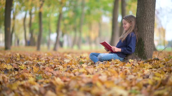 A Child Reads A Book in a Sunny Autumn Park.