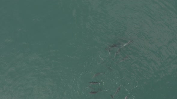 Birds eye view of a pod in Vleesbaai Western Cape South Africa alt