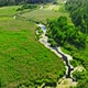 River among the swamp and forest. Aerial view of nature - VideoHive Item for Sale