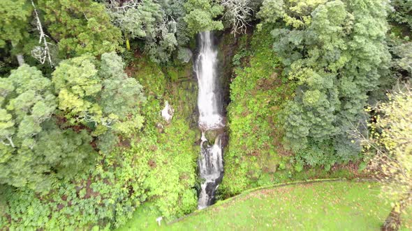 Small waterfall stream cascading down lush vegetation by the side of the road in Azores 4K alt