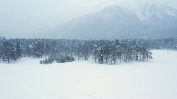 Beautiful Snow Scene Forest in Winter alt