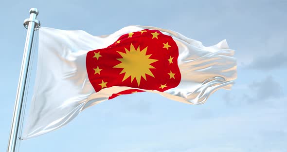 Emblem Of The President Of Turkey Republic Flag Waving  Loop  4K