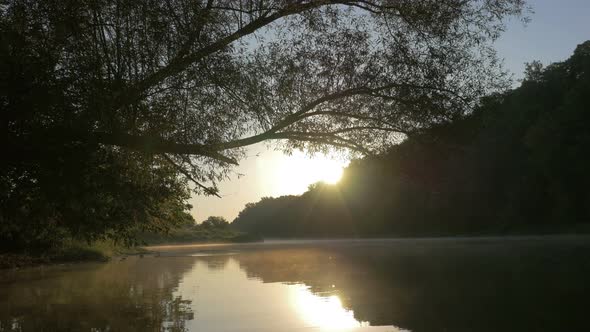 Morning on a lake 