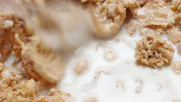 Cereals mixed with milk high energy morning food 4K 30fps 2160p UHD footage - Rice and weath cereal  alt