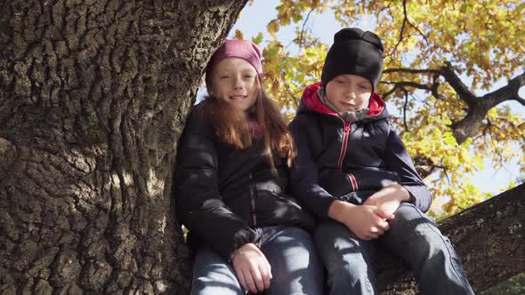 Cute Friends Little Boy and Girl Sitting Together on Tree on Sunny Autumn Day