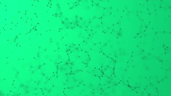 Plexus Bg Mint Black alt