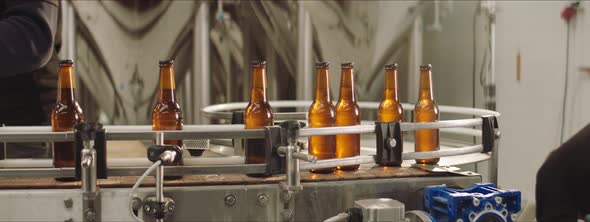Beer bottles collected by worker alt