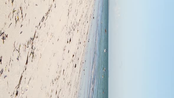 Vertical Video Empty Beach on Zanzibar Island Tanzania Aerial View alt