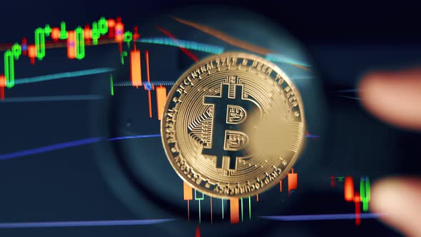 Bitcoin Stock Growth