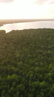 Tanzania  Coast of Zanzibar Island Covered with Thickets Slow Motion alt