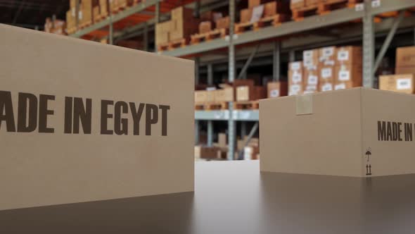Boxes with MADE IN EGYPT Text on Conveyor alt
