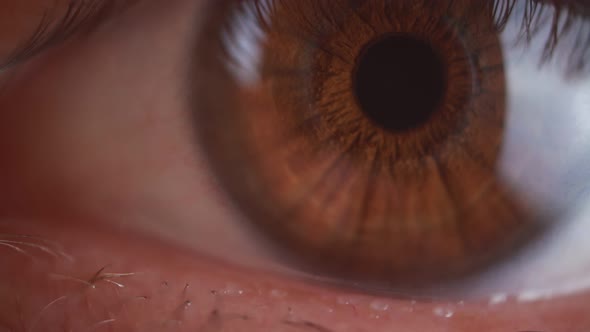 Human brown eye - extreme close up view.