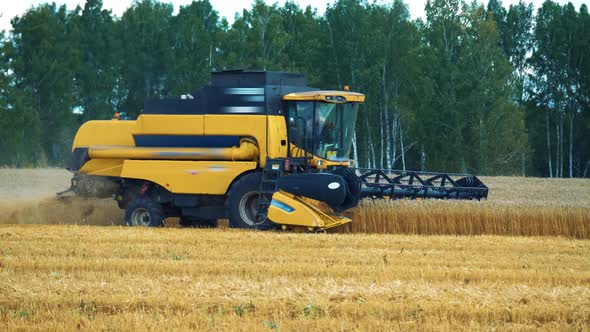 Industrial Farming Harvest Landscape with Combine